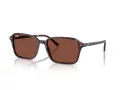 Ray-Ban Raimond Lunettes de Soleil RB 2231 1416C5