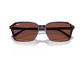 Ray-Ban Raimond Lunettes de Soleil RB 2231 1416C5