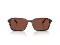 Ray-Ban Raimond Lunettes de Soleil RB 2231 1416C5