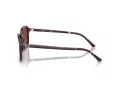 Ray-Ban Raimond Lunettes de Soleil RB 2231 1416C5