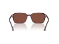 Ray-Ban Raimond Lunettes de Soleil RB 2231 1416C5