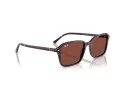 Ray-Ban Raimond Lunettes de Soleil RB 2231 1416C5