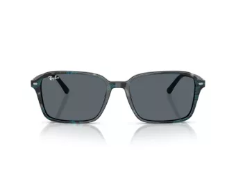 Ray-Ban Raimond Lunettes de Soleil RB 2231 1417R5
