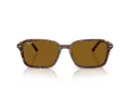 Ray-Ban Raimond Lunettes de Soleil RB 2231 141833
