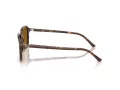 Ray-Ban Raimond Lunettes de Soleil RB 2231 141833