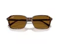 Ray-Ban Raimond Lunettes de Soleil RB 2231 141833