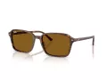 Ray-Ban Raimond Lunettes de Soleil RB 2231 141833