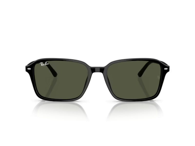 Ray-Ban Raimond Lunettes de Soleil RB 2231 901/31