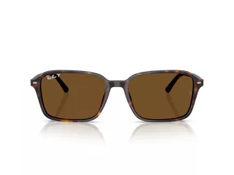 Ray-Ban Raimond Lunettes de Soleil RB 2231 902/57