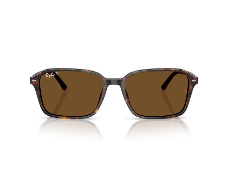 Ray-Ban Raimond Lunettes de Soleil RB 2231 902/57