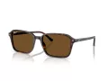 Ray-Ban Raimond Lunettes de Soleil RB 2231 902/57