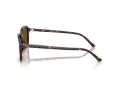 Ray-Ban Raimond Lunettes de Soleil RB 2231 902/57