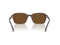 Ray-Ban Raimond Lunettes de Soleil RB 2231 902/57