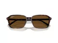 Ray-Ban Raimond Lunettes de Soleil RB 2231 902/57