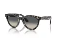 Ray-Ban Wayfarer Way Lunettes de Soleil RB 2241 133371