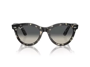 Ray-Ban Wayfarer Way Lunettes de Soleil RB 2241 133371