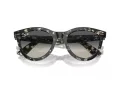 Ray-Ban Wayfarer Way Lunettes de Soleil RB 2241 133371