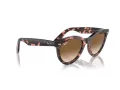 Ray-Ban Wayfarer Way Lunettes de Soleil RB 2241 133451