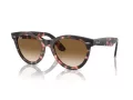 Ray-Ban Wayfarer Way Lunettes de Soleil RB 2241 133451