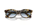 Ray-Ban Wayfarer Oval Lunettes de Soleil RB 2242 13323F
