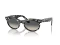 Ray-Ban Wayfarer Oval Lunettes de Soleil RB 2242 133371