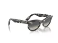 Ray-Ban Wayfarer Oval Lunettes de Soleil RB 2242 133371