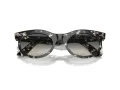 Ray-Ban Wayfarer Oval Lunettes de Soleil RB 2242 133371