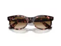 Ray-Ban Wayfarer Oval Lunettes de Soleil RB 2242 133451