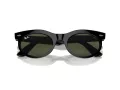 Ray-Ban Wayfarer Oval Lunettes de Soleil RB 2242 901/31