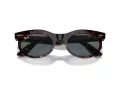 Ray-Ban Wayfarer Oval Lunettes de Soleil RB 2242 902/R5