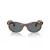 Ray-Ban Wayfarer Oval Lunettes de Soleil RB 2242 954/3R