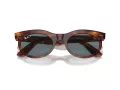 Ray-Ban Wayfarer Oval Lunettes de Soleil RB 2242 954/3R