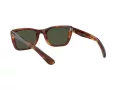 Ray-Ban Caribbean Lunettes de Soleil RB 2248 954/31