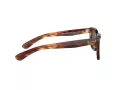Ray-Ban Caribbean Lunettes de Soleil RB 2248 954/31