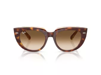 Ray-Ban Doreen Lunettes de Soleil RB 2286 141451