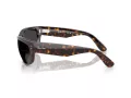 Ray-Ban Mega Balorama Lunettes de Soleil RB 2289 902/48