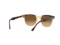 Ray-Ban Hawkeye Lunettes de Soleil RB 2298 1292M2