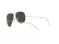 Ray-Ban Aviator Large Metal Lunettes de Soleil RB 3025 9196/48