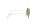 Ray-Ban Shooter Lunettes de Soleil RB 3138 W3401