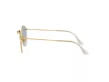 Ray-Ban Round Metal Lunettes de Soleil RB 3447N 001/3F