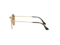 Ray-Ban Round Metal Lunettes de Soleil RB 3447N 001/Z2