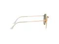 Ray-Ban Round Metal Lunettes de Soleil RB 3447N 001