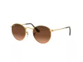 Ray-Ban Round Metal Lunettes de Soleil RB 3447 9001/A5