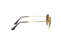Ray-Ban Round Metal Lunettes de Soleil RB 3447 9001/A5