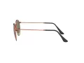 Ray-Ban Round Metal Lunettes de Soleil RB 3447 9002/A6