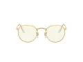 Ray-Ban Round Metal Lunettes de Soleil RB 3447 9196/BL