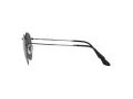 Ray-Ban Round Metal Lunettes de Soleil RB 3447 9229/B1