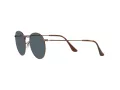 Ray-Ban Round Metal Lunettes de Soleil RB 3447 9230/R5