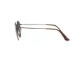 Ray-Ban Round Metal Lunettes de Soleil RB 3447 9230/R5