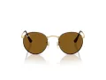 Ray-Ban Round Metal Lunettes de Soleil RB 3447 927533